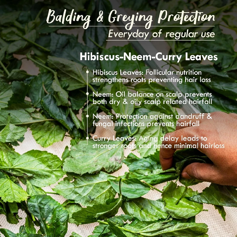 Nat Habit Mens 8 Herbs Hair Revital Nutri Hair Mask For Grey Hairs-2.webp